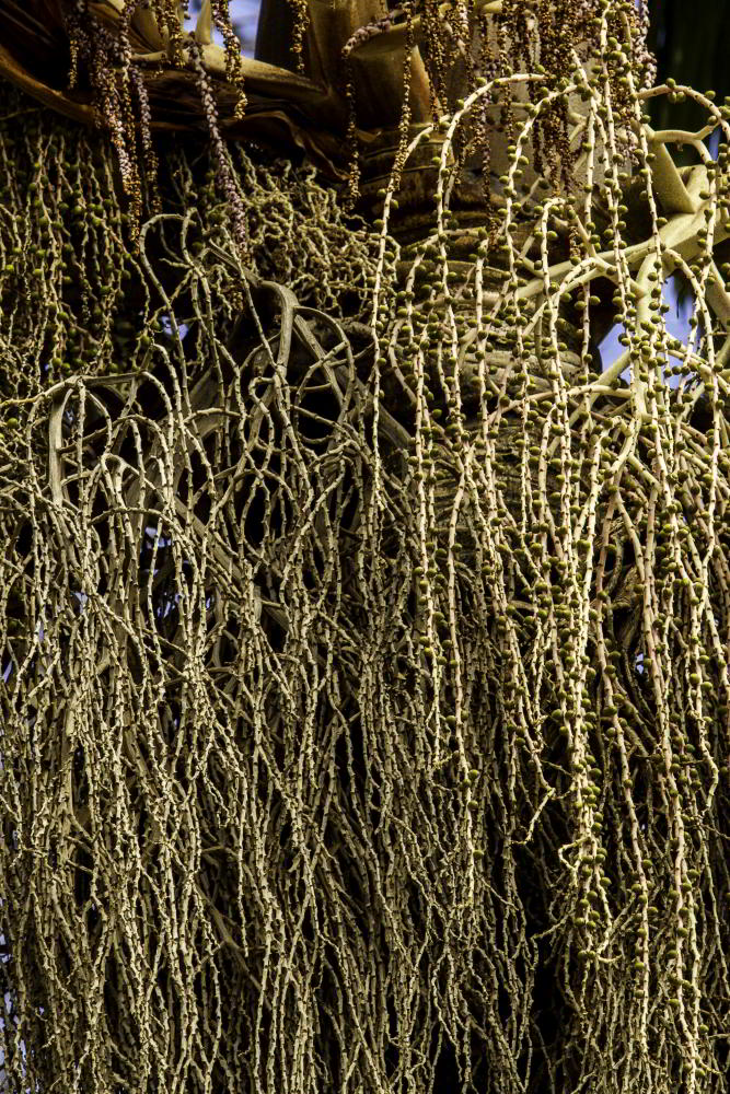 Fotografia Natureza 41